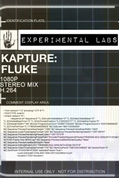 Kapture: Fluke (2017) постер