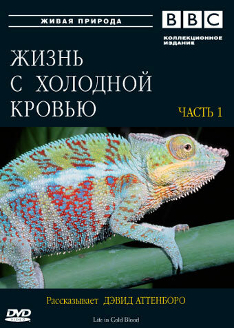 BBC: Жизнь с холодной кровью (2008) постер